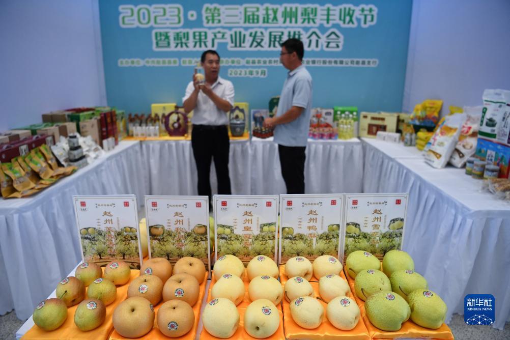 北京万丰娱乐